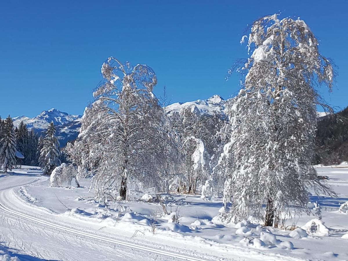 Landhaus Vogel Apartman Weissensee Kültér fotó