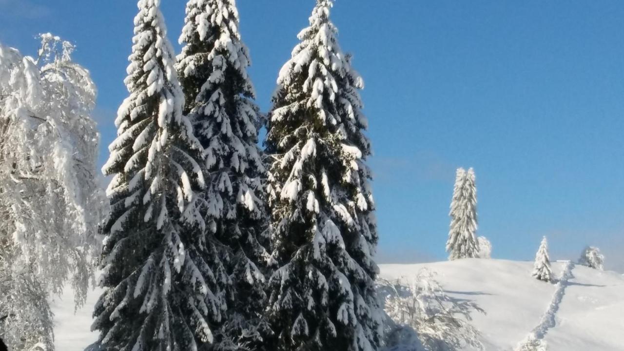 Landhaus Vogel Apartman Weissensee Kültér fotó