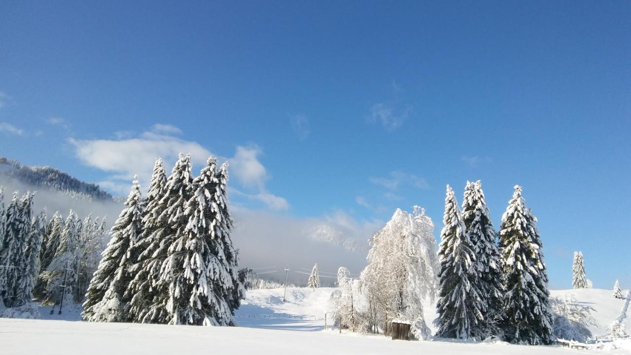 Landhaus Vogel Apartman Weissensee Kültér fotó