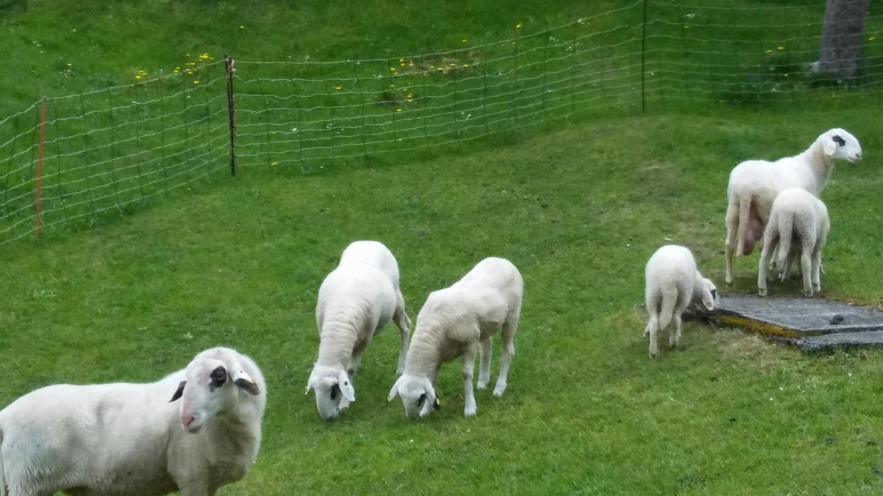 Landhaus Vogel Apartman Weissensee Kültér fotó